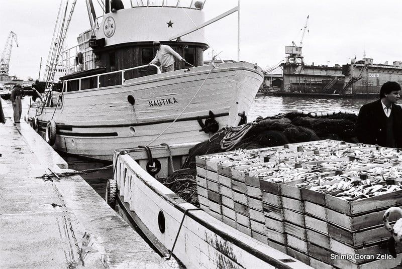 Izvorni naziv: Nautika ribarica.jpg
