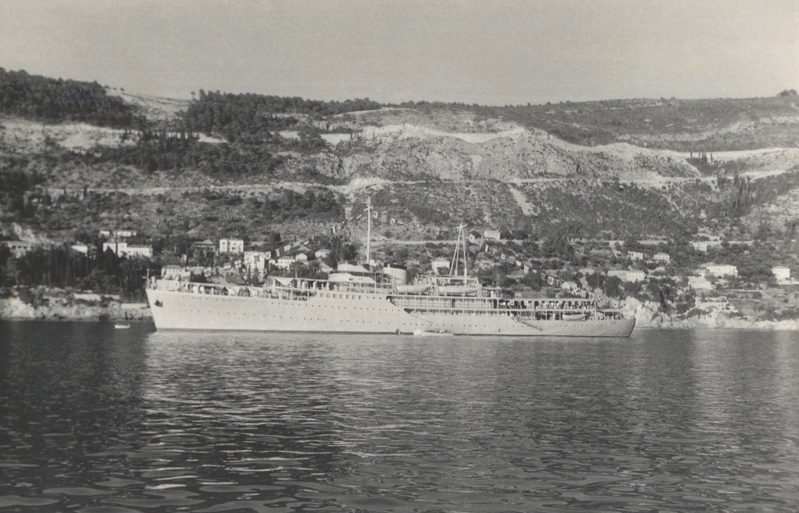 Galeb