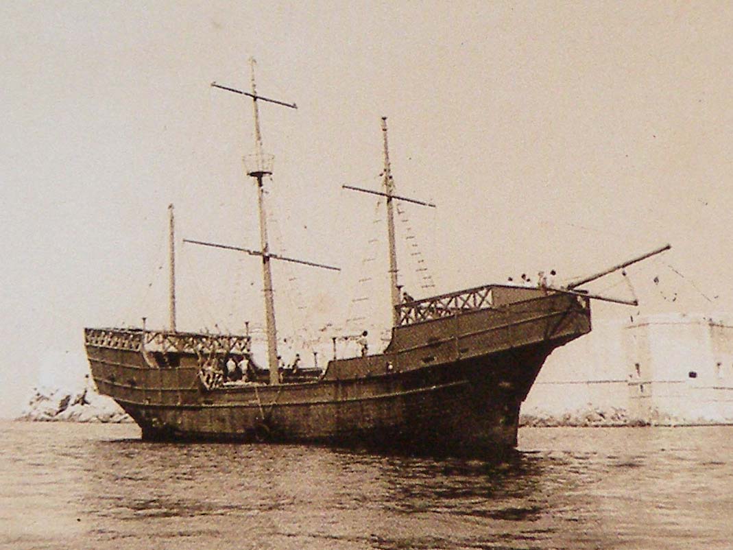 Nelson
