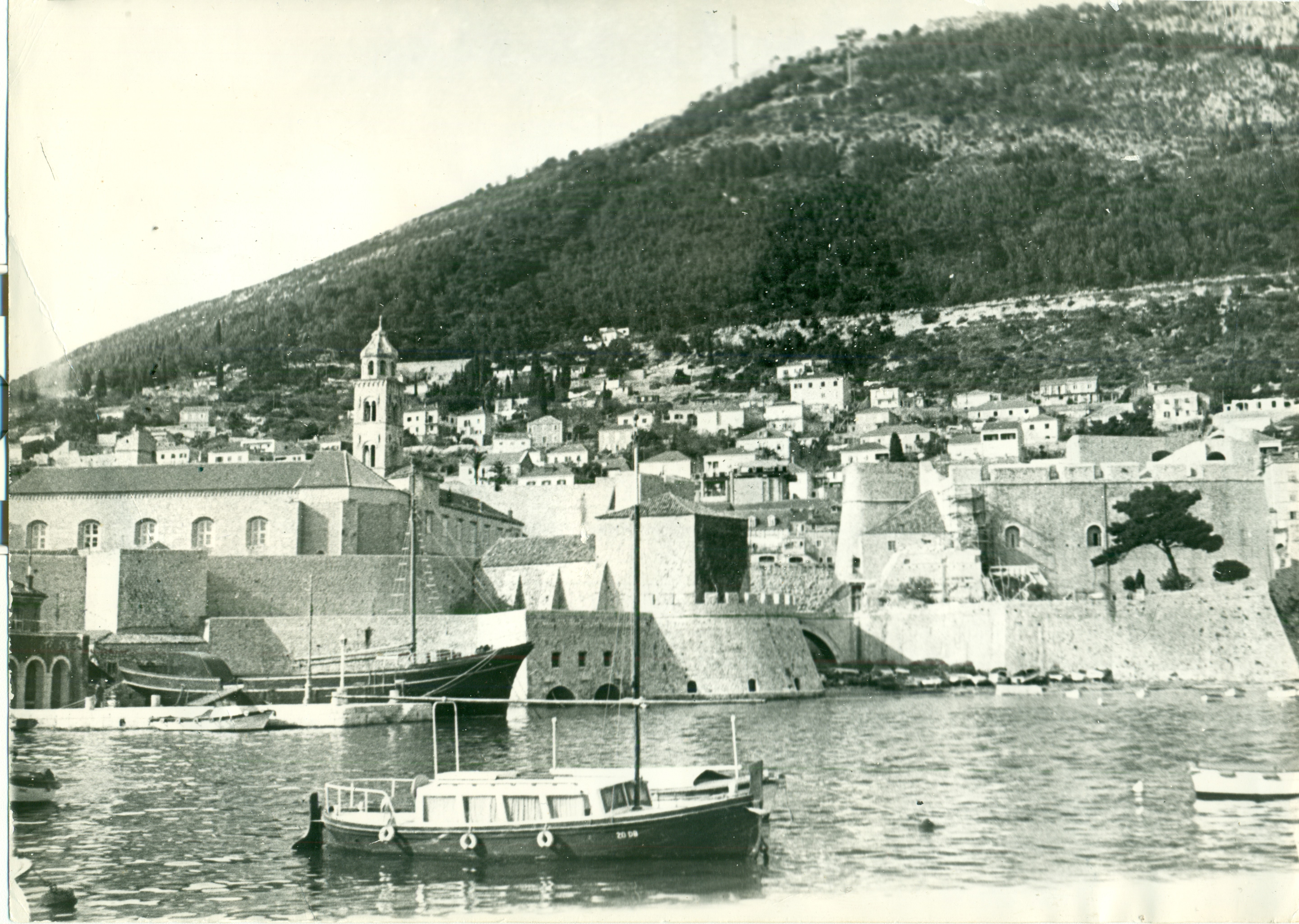 Nelson — Nelson porat.jpg